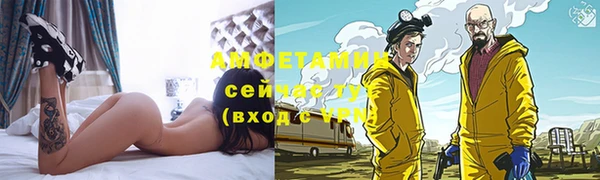 гидра Аркадак