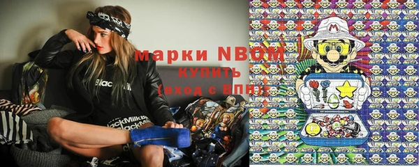гидра Аркадак