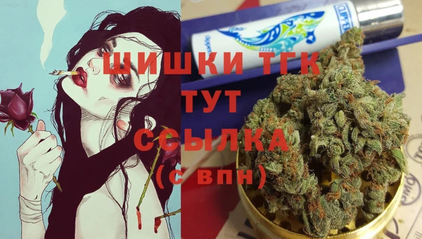 гидра Аркадак