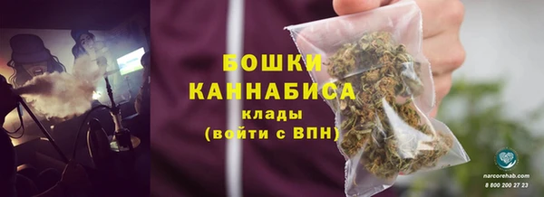 гидра Аркадак
