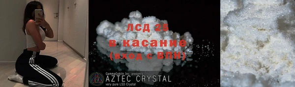 гидра Аркадак