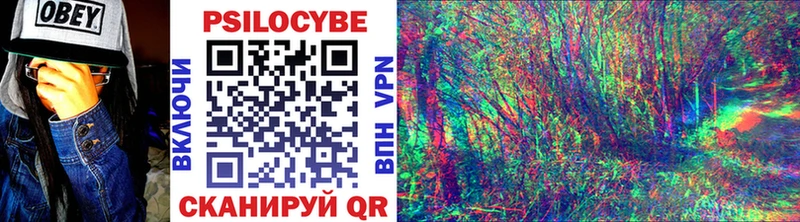 купить  цена  KRAKEN как зайти  Галлюциногенные грибы Psilocybe  Демидов 